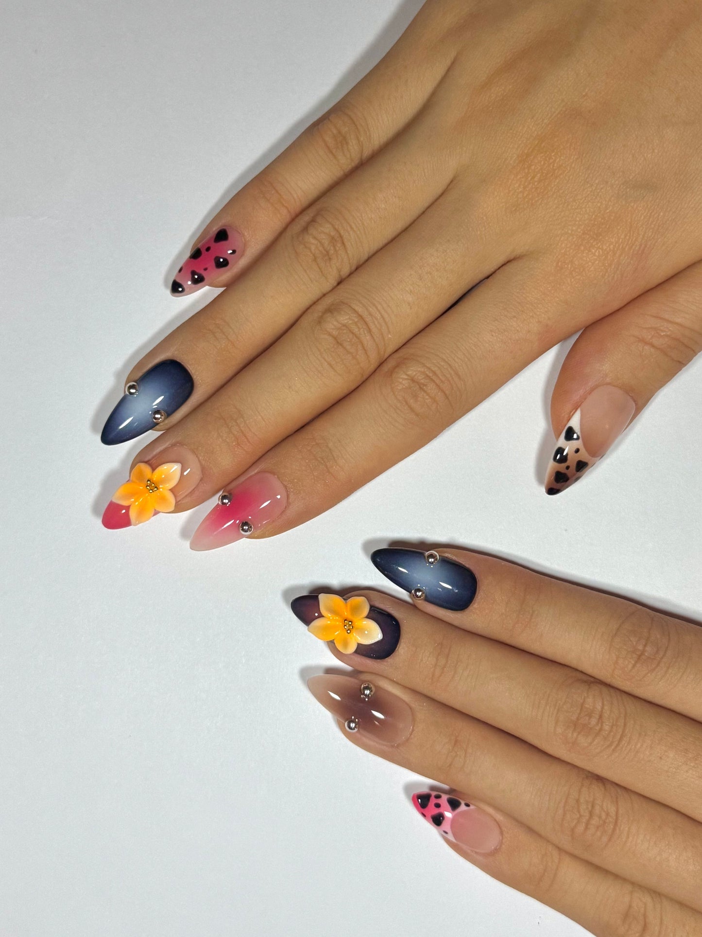 Safari Bloom