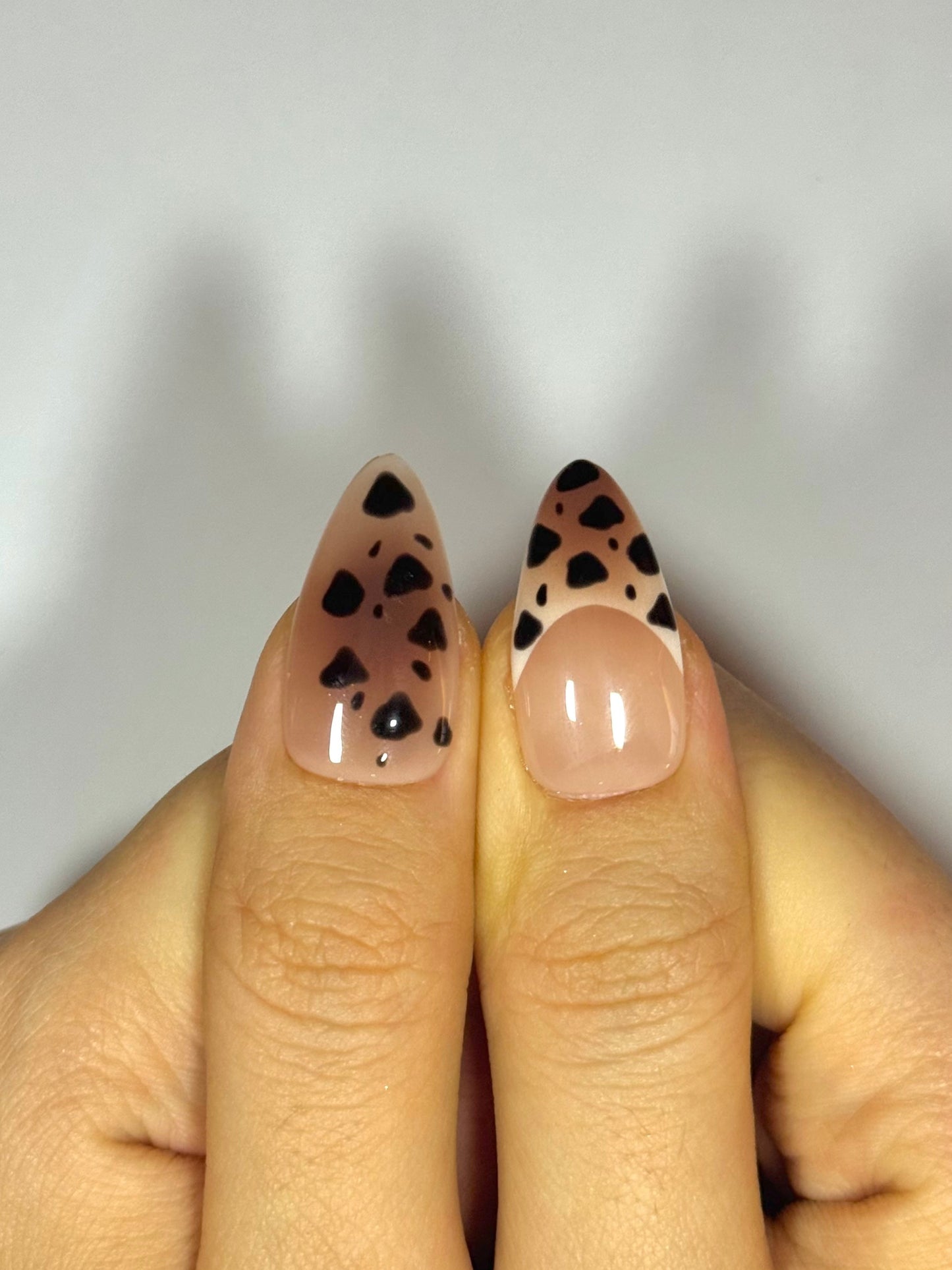 Safari Bloom