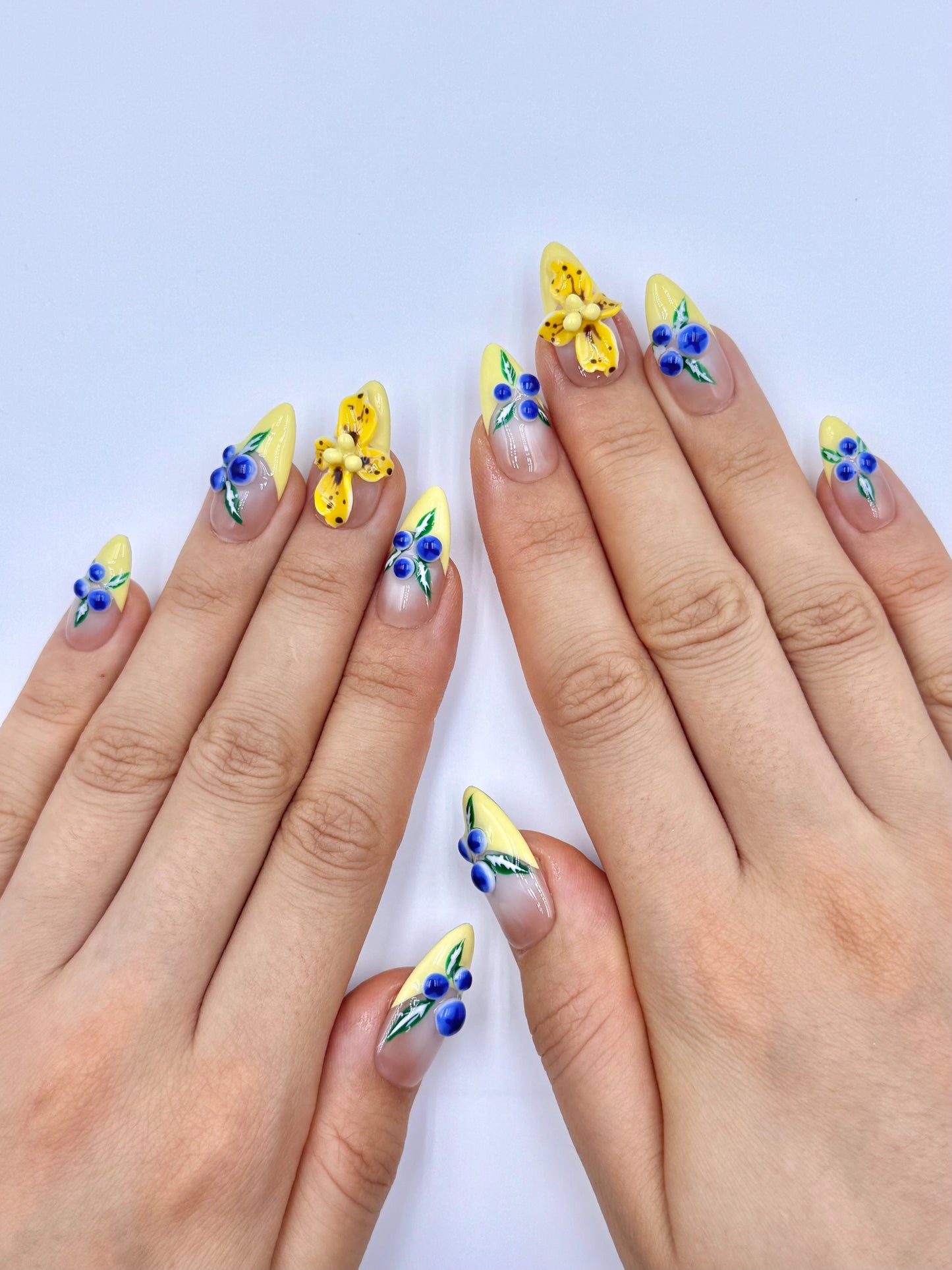Nude Pastel Yellow French Tip 3D Gel Tropical Flower and Blueberry Nail Art Design Press-On Nails