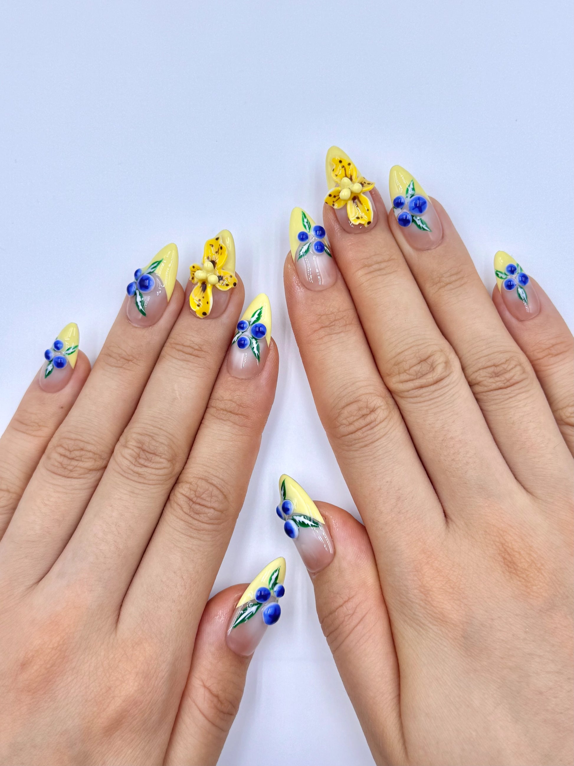 Nude Pastel Yellow French Tip 3D Gel Tropical Flower and Blueberry Nail Art Design Press-On Nails