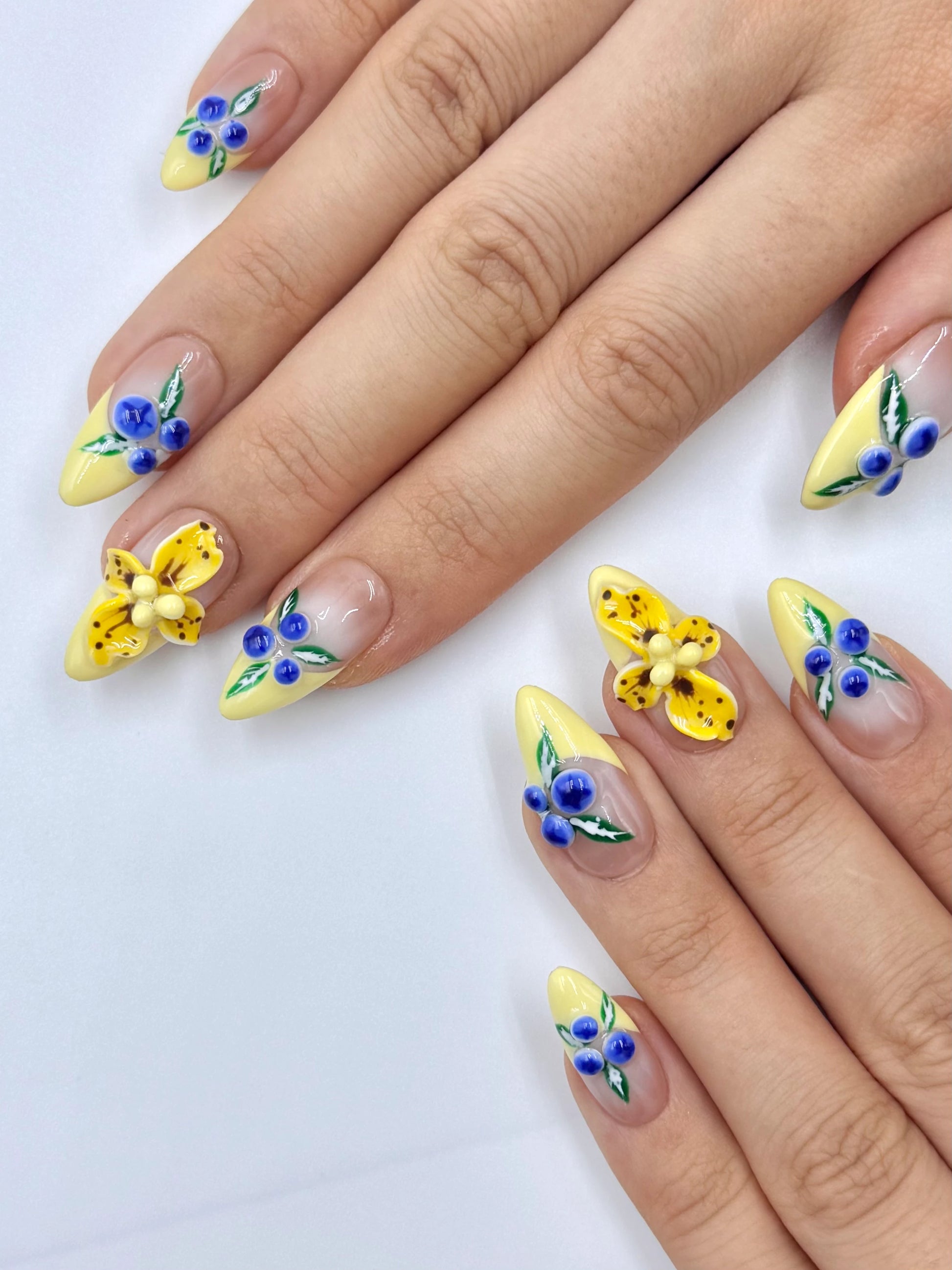 Nude Pastel Yellow French Tip 3D Gel Tropical Nail Art Design Press-On Nail with Realistic Blueberry and Flower
