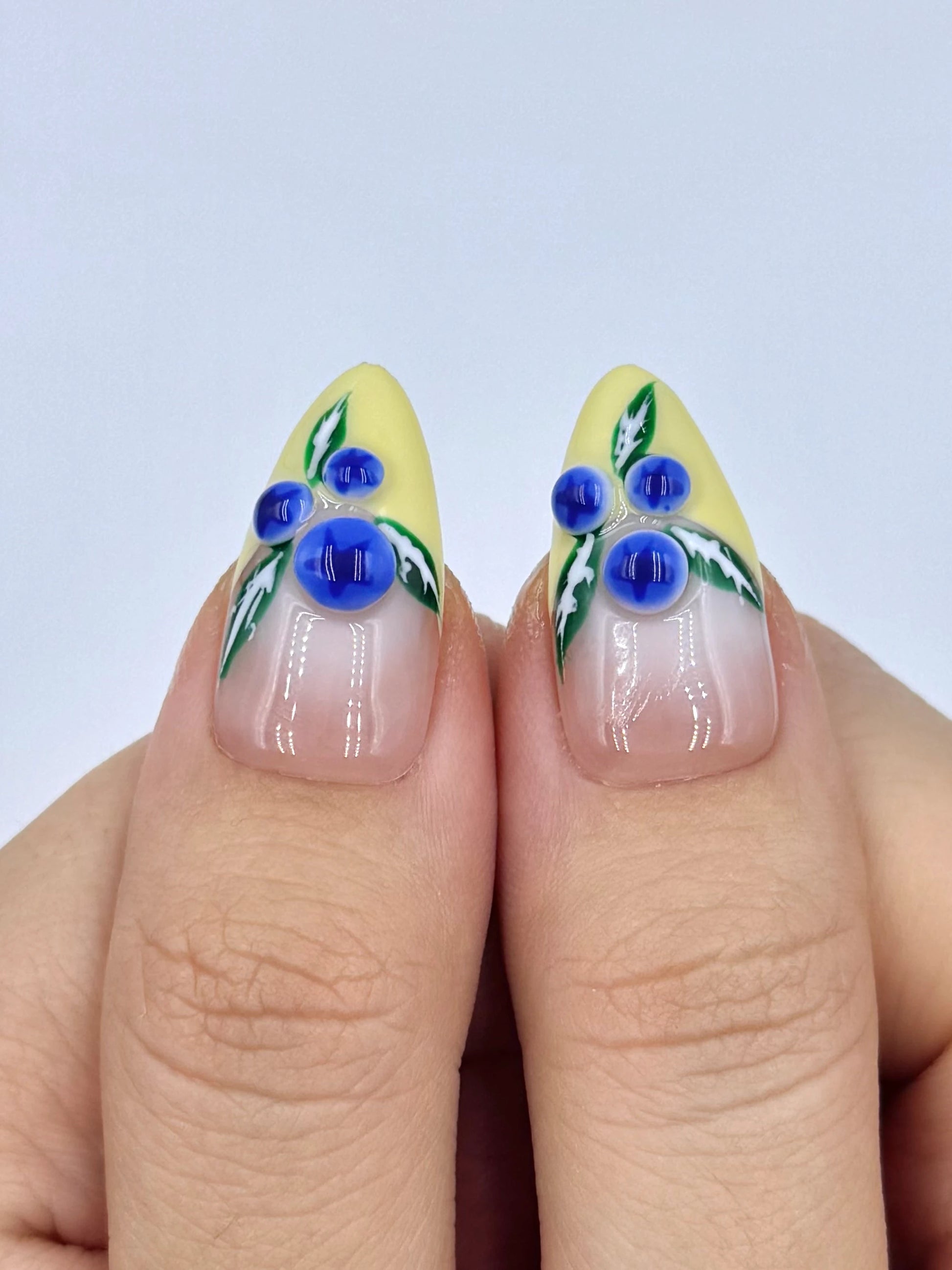Nude Pastel Yellow French Tip Press-On Nail with Cute 3D Gel Blueberry Nail Art Design
