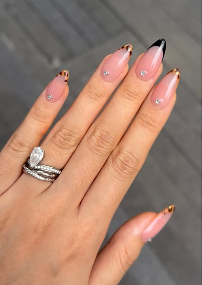 Timeless Elegance