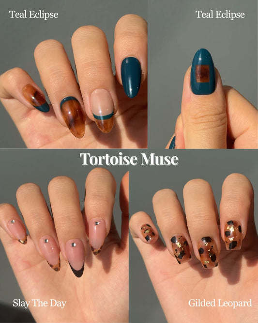 Tortoise Muse